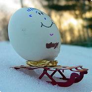 jeggy egg photo